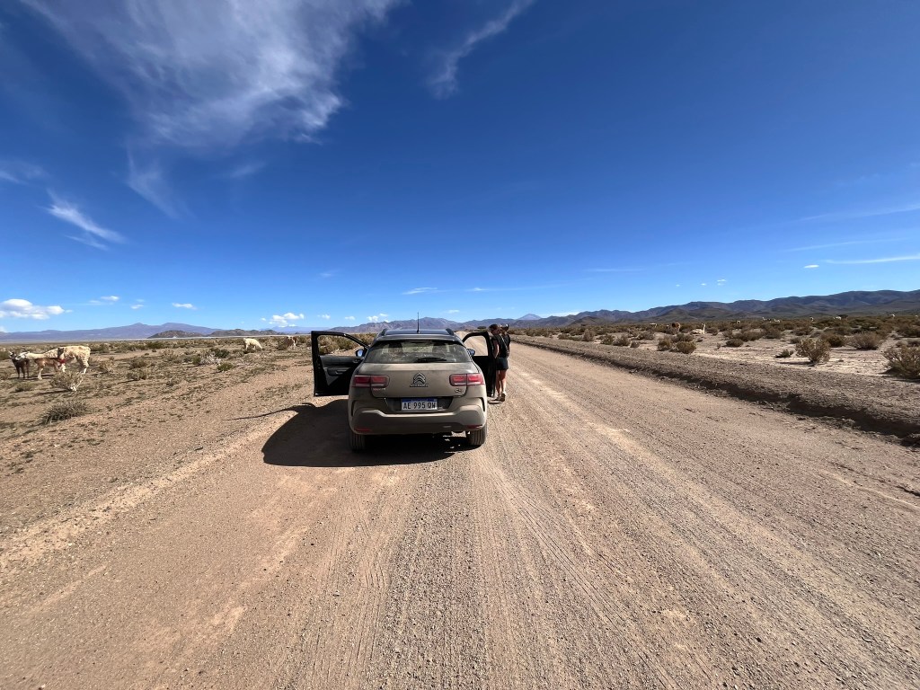 ROAD TRIP NEL NORD DELL’ARGENTINA: da Salta a San Antonio de los Cobres tra lama, polvere e&nbsp;libertà